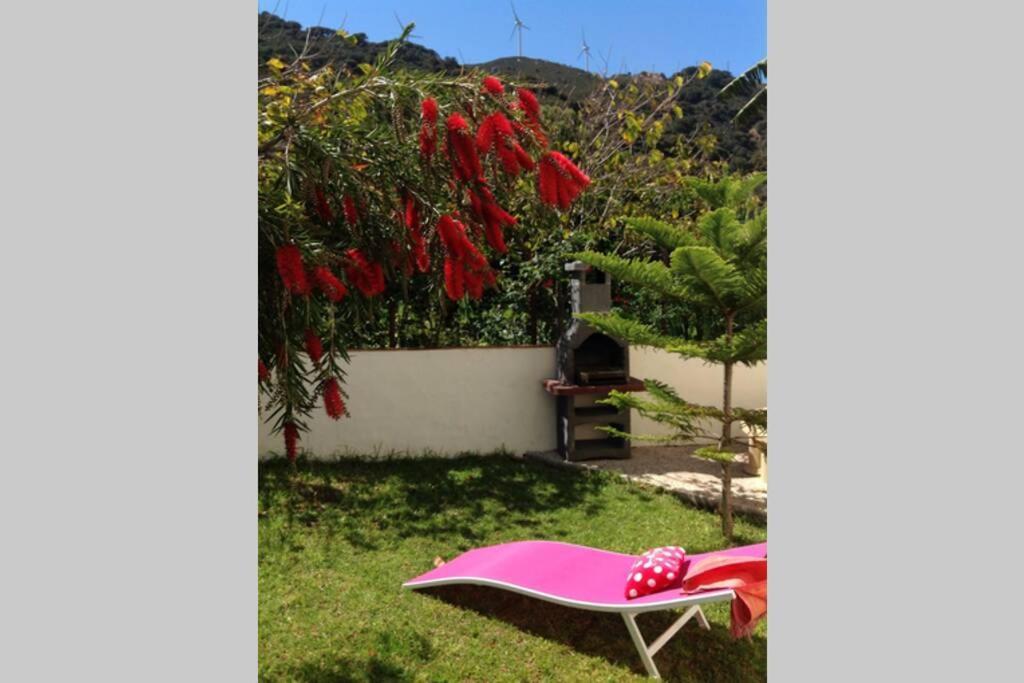 Apartment La Pena Rojo Wifi Tarifa Luaran gambar